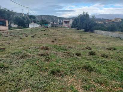 Καθαρισμός οικοπέδου Κηφισιά